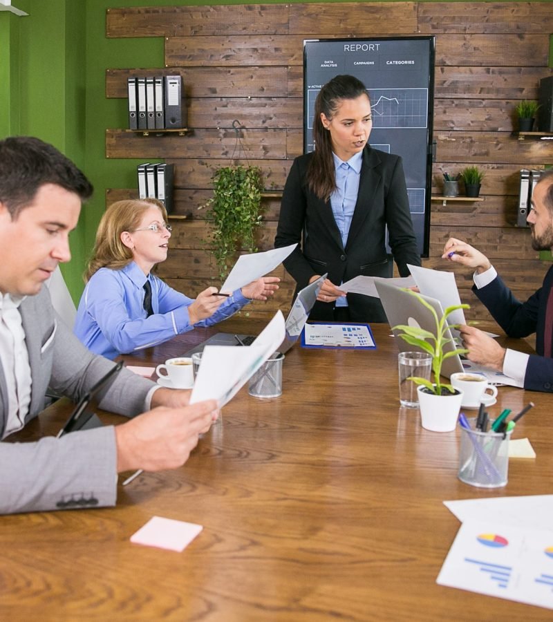 Business woman having a meeting with investors